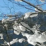 Fw Weissensee 44
