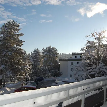 Fw Weissensee 44 *