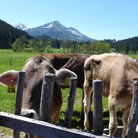 Fw Weissensee 44 Apartamento Füssen