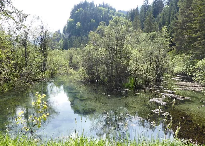 Fw Weissensee 44